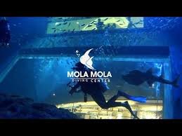 MolaMola Diving Center