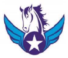 Buraq Star Trading Company LLC